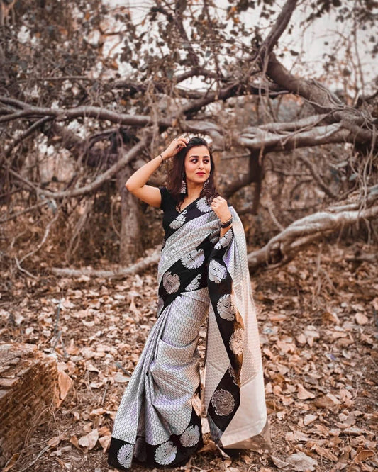 Black and Grey Printed Saree with Statement Motifs