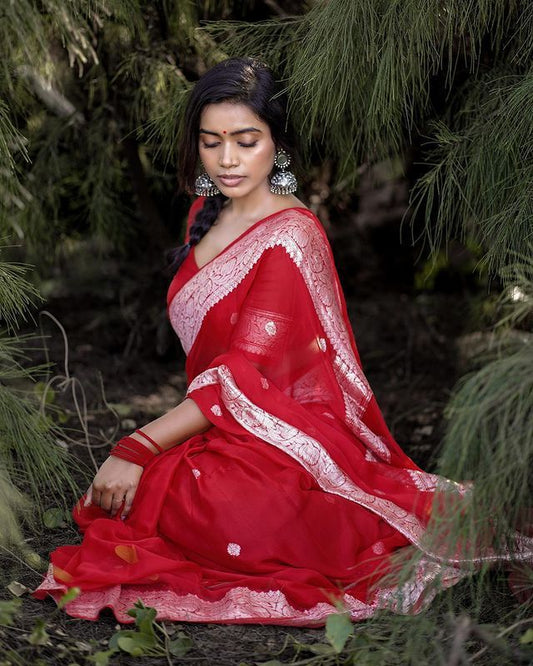 Elegant Red Saree with Delicate Silver Woven Details