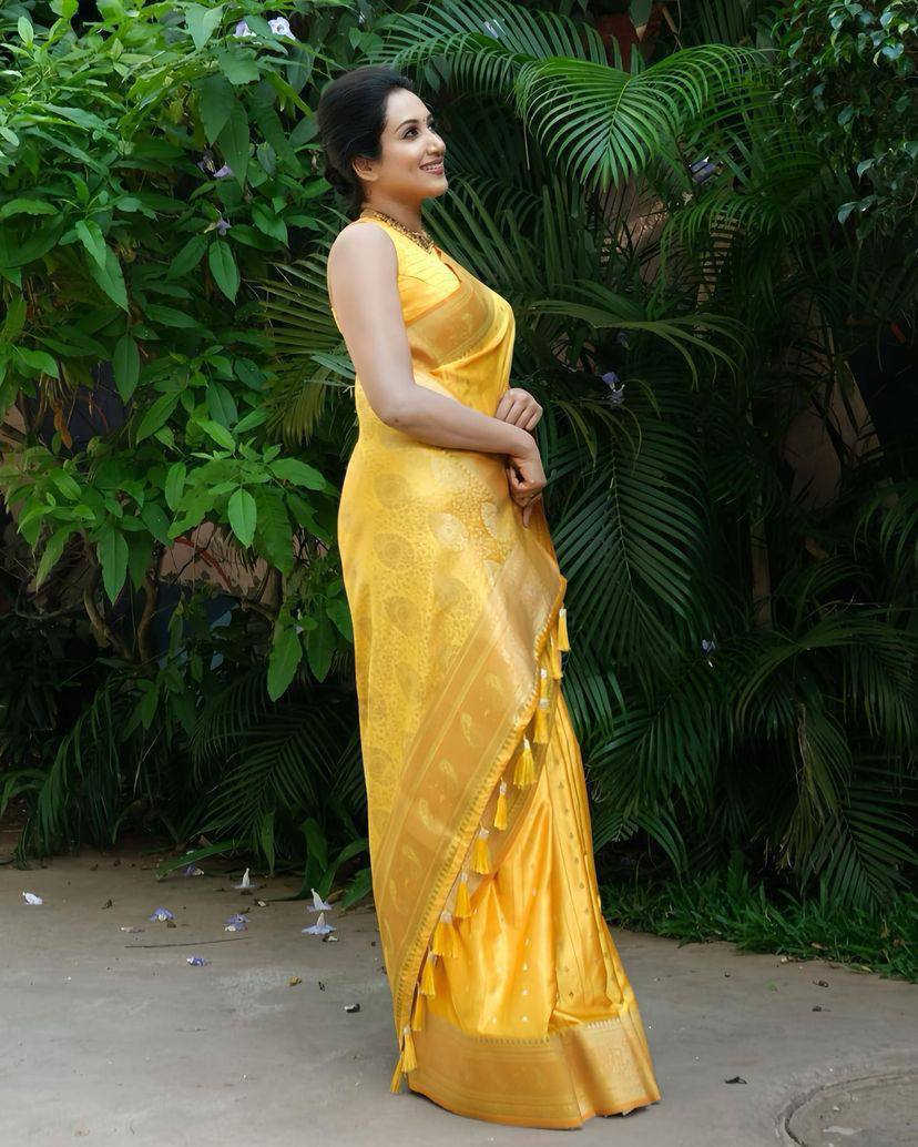 AMRAPALLI SILK SAREE