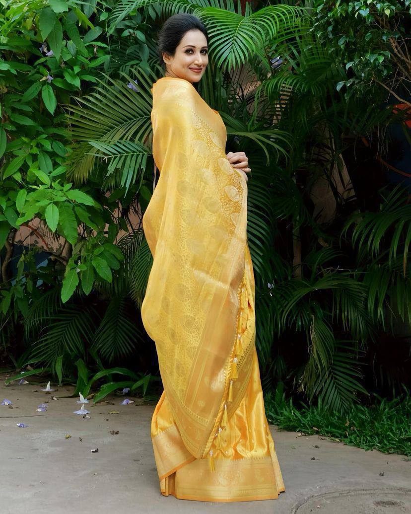 AMRAPALLI SILK SAREE