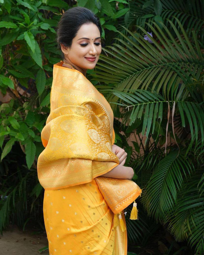 AMRAPALLI SILK SAREE