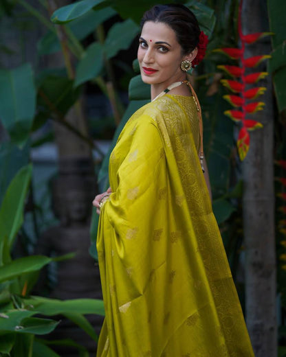 Elegant Olive Green Banarasi Silk Saree with Gold Zari Motifs