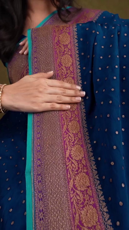 Neelambari Silk Saree